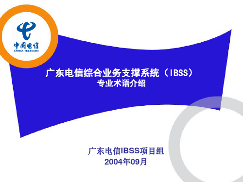 广东电信ibss专业术语解释