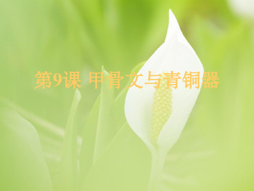 甲骨文ppt中小学教学课件