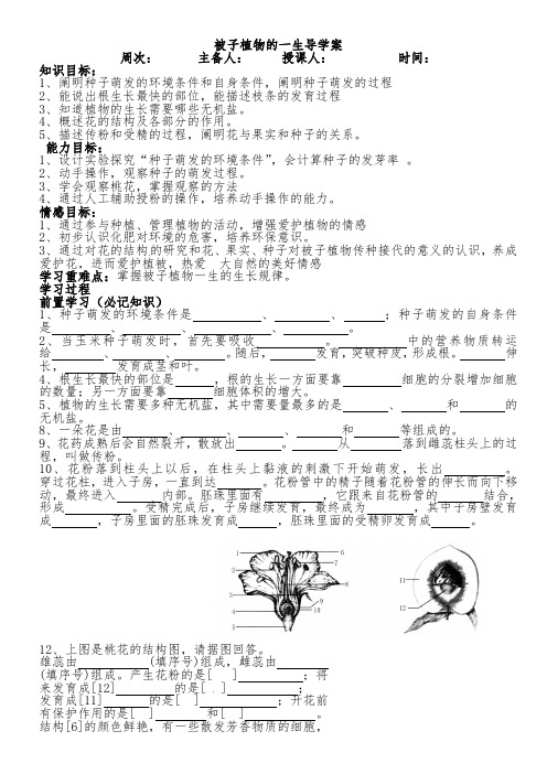 被子植物的一生复习导学案