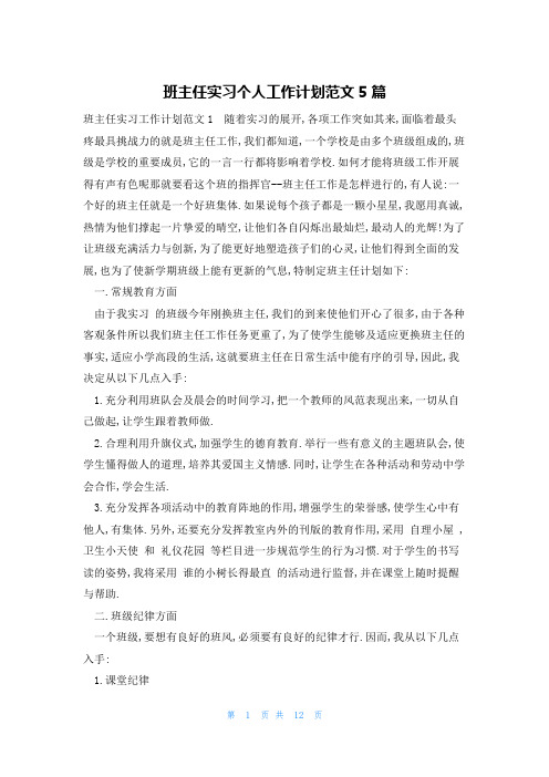 班主任实习个人工作计划范文5篇