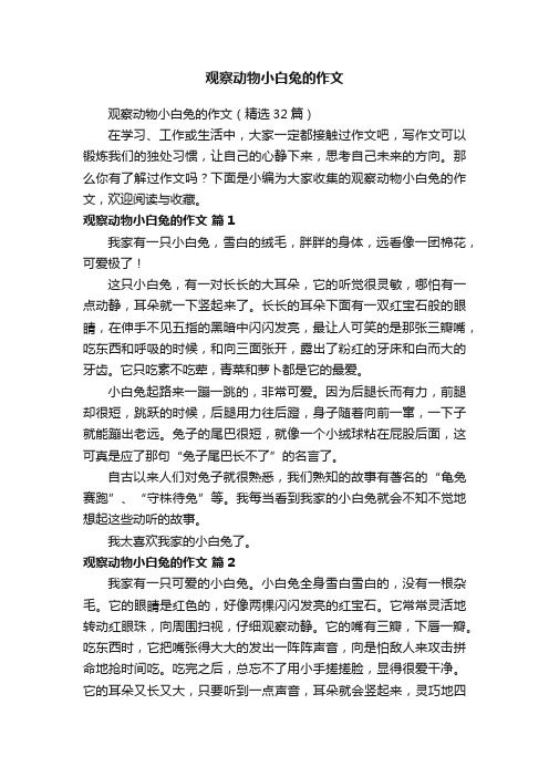 观察动物小白兔的作文（精选32篇）