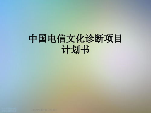 中国电信文化诊断项目计划书