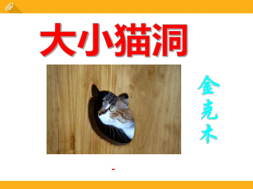 语文版语文九上第11课《大小猫洞》ppt-课件4
