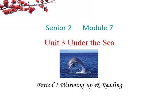 选修7unit 3 Under the Sea reading