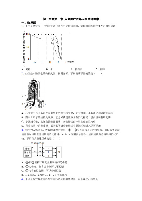 初一生物第三章 人体的呼吸单元测试含答案