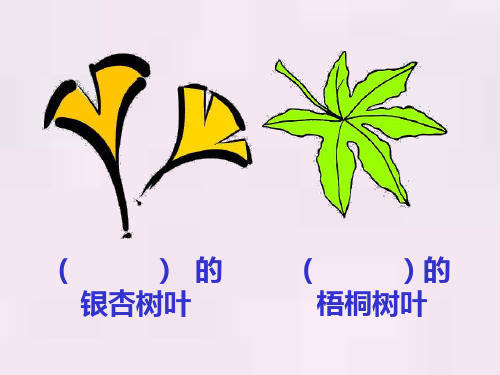 人教版小学语文二年级上册19《蓝色的树叶》PPT 课件