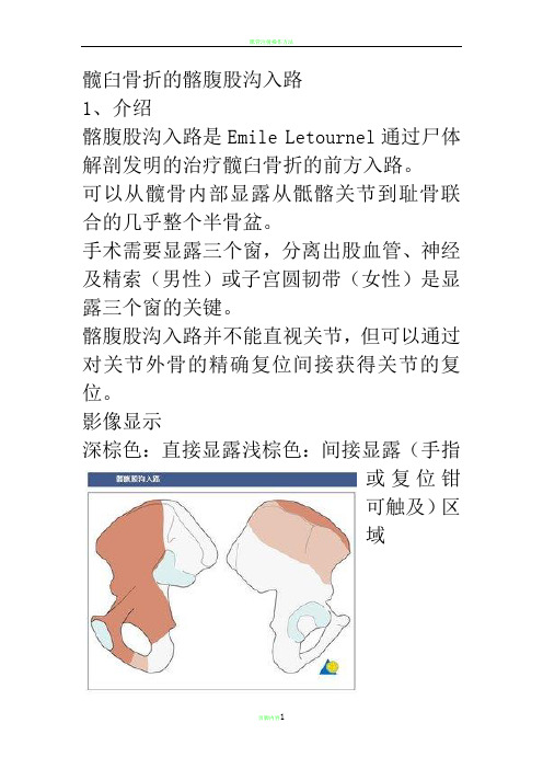 髂腹股沟入路解剖