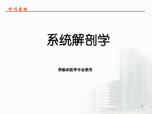 系统解剖学课件-第六章 呼吸系统
