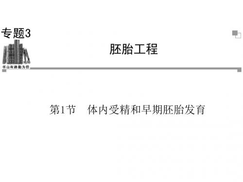 高中生物人教版选修三同步辅导与检测课件：3.1 体内受精和早期胚胎发育