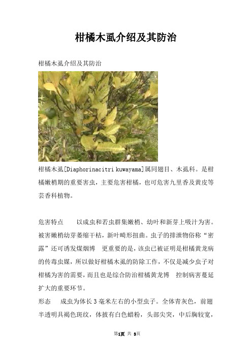 柑橘木虱介绍及其防治