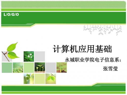 计算机基础说课