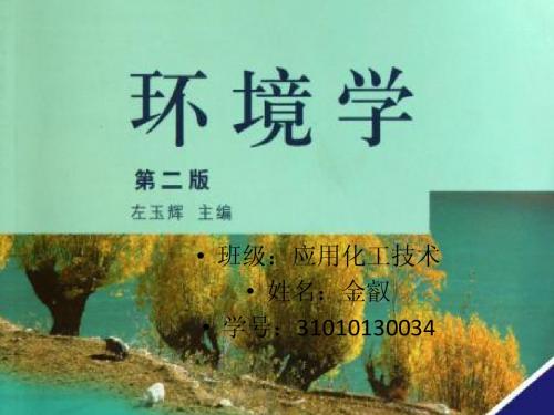 电脑辐射的危害ppt