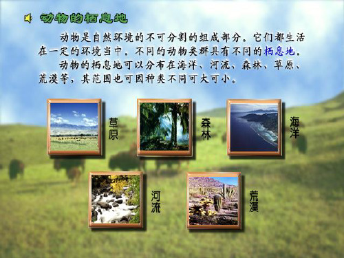 动物栖息地概述