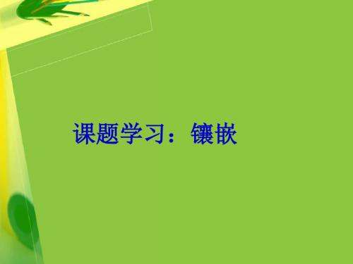〔人教版〕课题学习：镶嵌教学PPT课件9