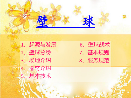 壁     球