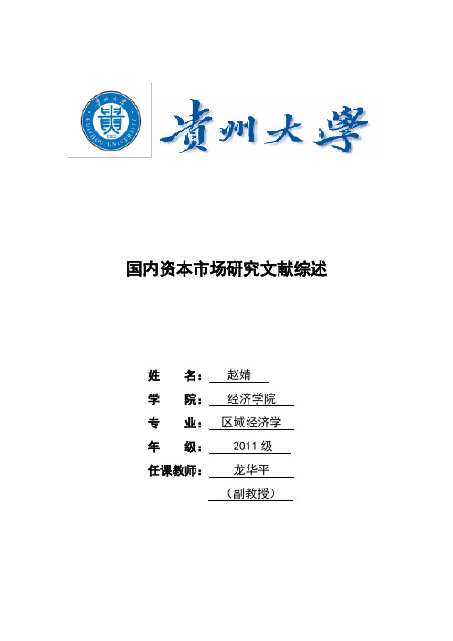 国内资本市场研究文献综述范文