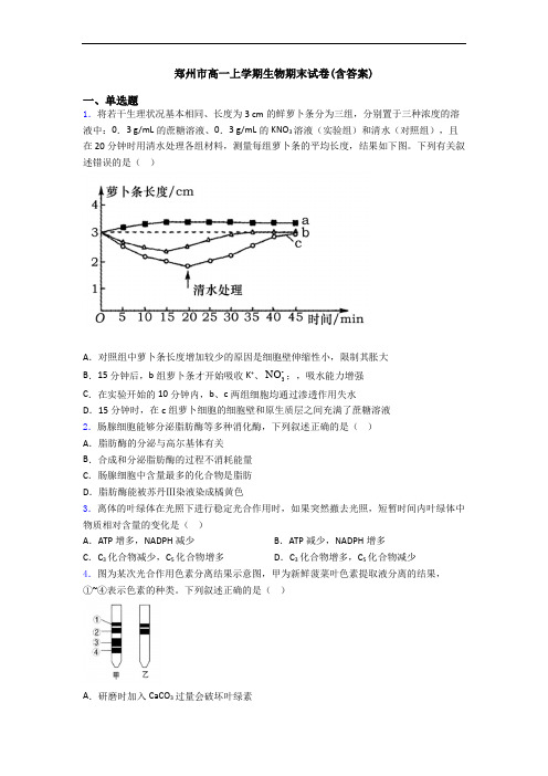 郑州市高一上学期生物期末试卷(含答案)