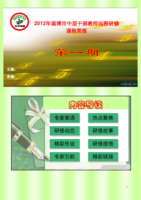 中层干部网络研修第一期简报设想改