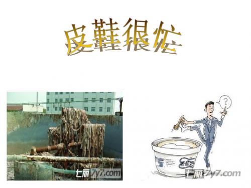 皮鞋很忙问题演示文稿