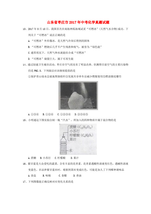 山东省枣庄市2017年中考化学真题试题(含答案)