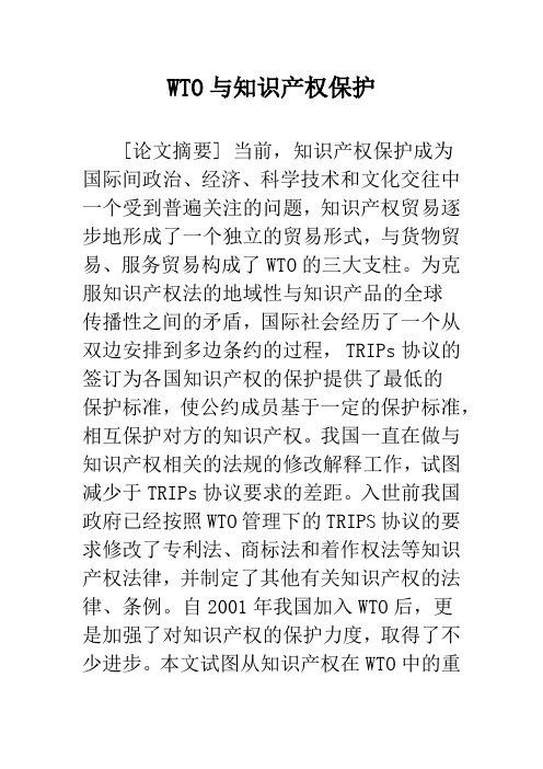 WTO与知识产权保护