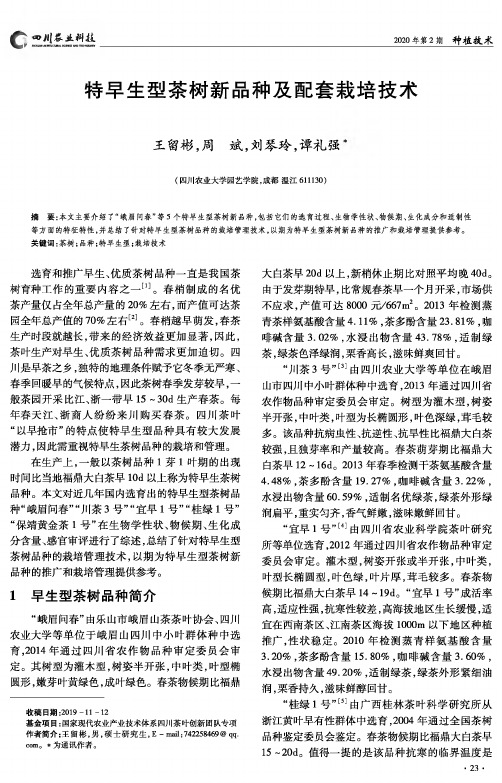 特早生型茶树新品种及配套栽培技术