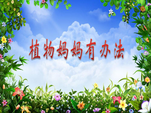 人教部编版二年级语文上册课件：3植物妈妈有办法(共33张PPT)