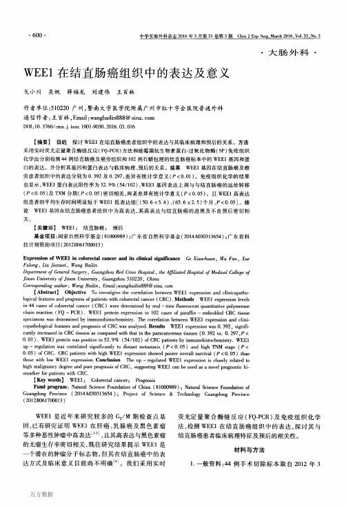 WEE1在结直肠癌组织中的表达及意义要点