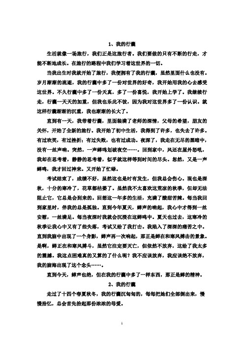 作文《我的行囊》