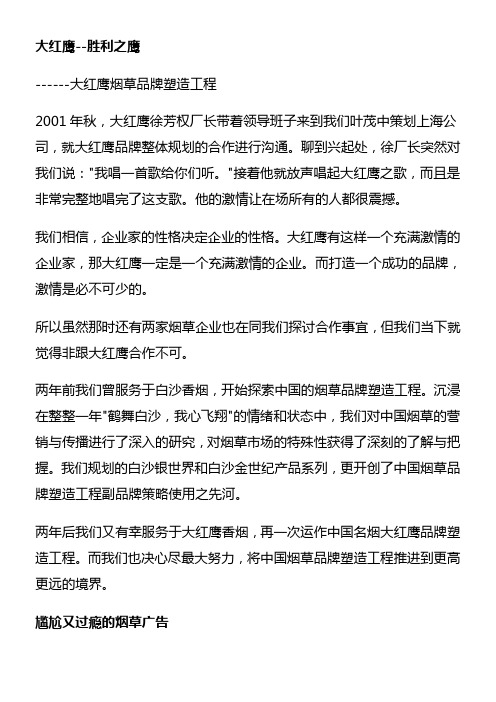 大红鹰品牌策划