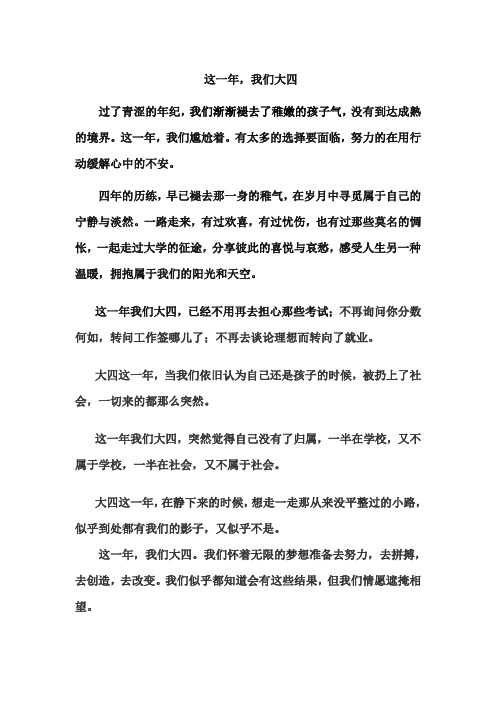 这一年,我们大四