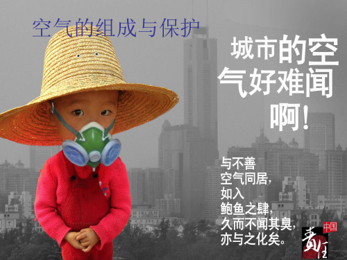 空气的成分