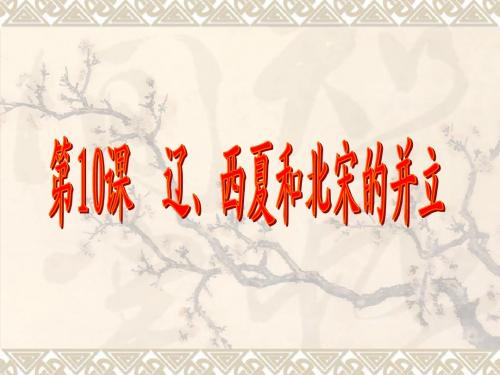 辽西夏北宋并立 pj