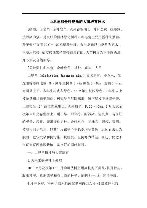 山皂角和金叶皂角大苗培育技术论文