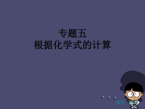 (广东地区)2016中考化学专题复习五根据化学式的计算课件
