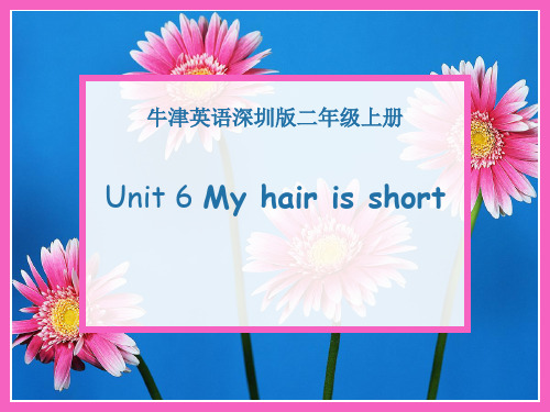 深圳优质课件   牛津英语深圳版小学二年级U6 My hair is short