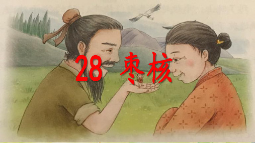 人教部编版三年级语文下册课件：28 枣核(共11张PPT)