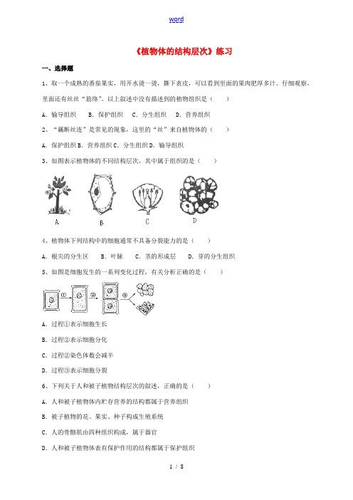 七年级生物上册 第二单元 2.3 植物体的结构层次练习 (新版)新人教版-(新版)新人教版初中七年级