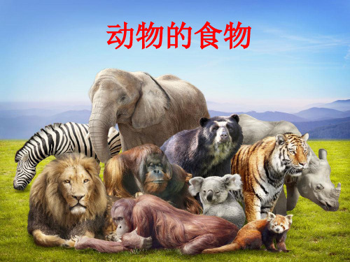 (五上)科学优秀课件-1.5 动物的食物｜冀教版 PPT(11页)