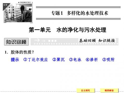 (苏教版化学选修2)1.1《水的净化与污水处理》ppt课件(34页)