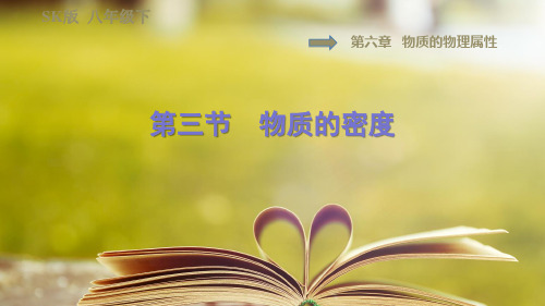 苏科版物理八年级下册第六章6.3物质的密度