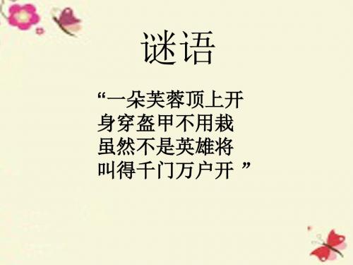 浙美版美术一下第16课《神气的大公鸡》ppt课件1
