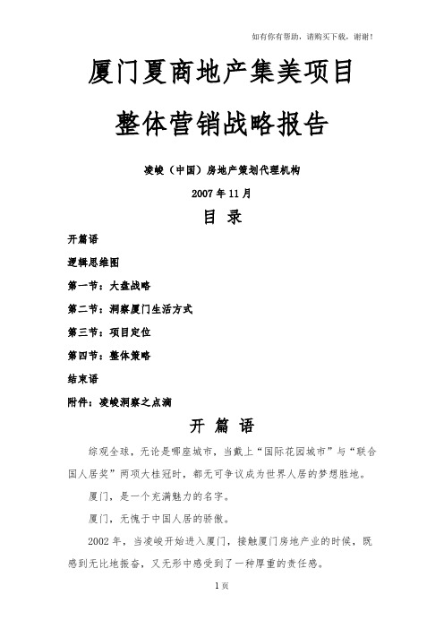 厦门夏商集美项目整体营销战略报告