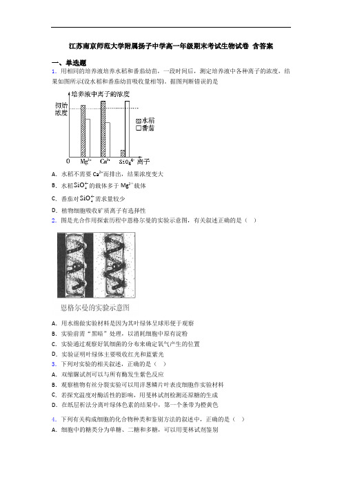 江苏南京师范大学附属扬子中学高一年级期末考试生物试卷 含答案