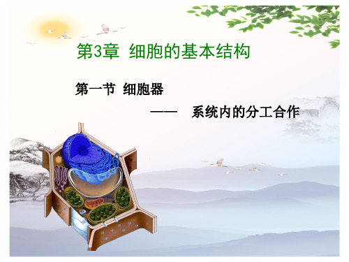 高中生物必修一第3章第2节细胞器——系统内的分工合作  课件(共21张PPT)_2[优秀课件][优秀课件]