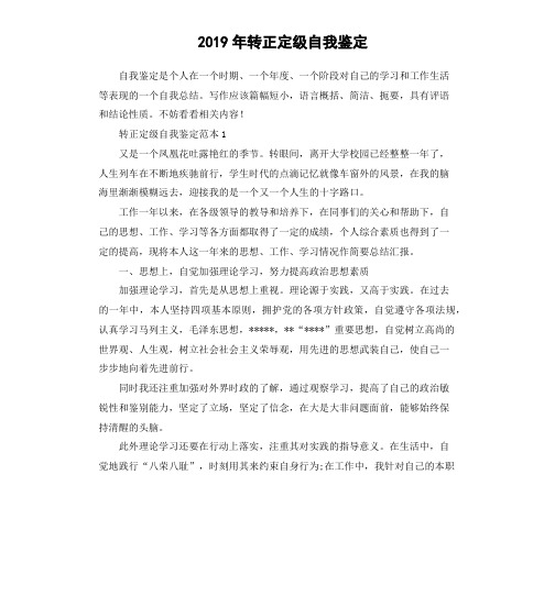 2019年转正定级自我鉴定