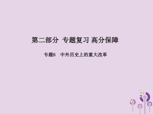 (滨州专版)2018中考历史总复习第二部分专题复习高分保障专题6中外历史上的重大改革课件