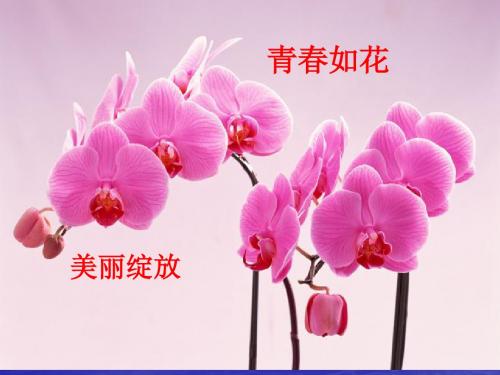 高三16班考试后主题班会