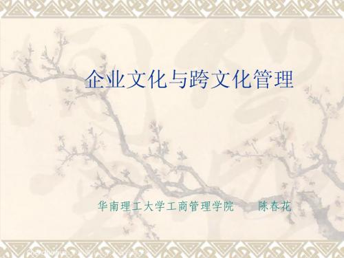 企业文化与跨文化管理-――陈春花2006