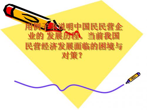 民营经济的发展